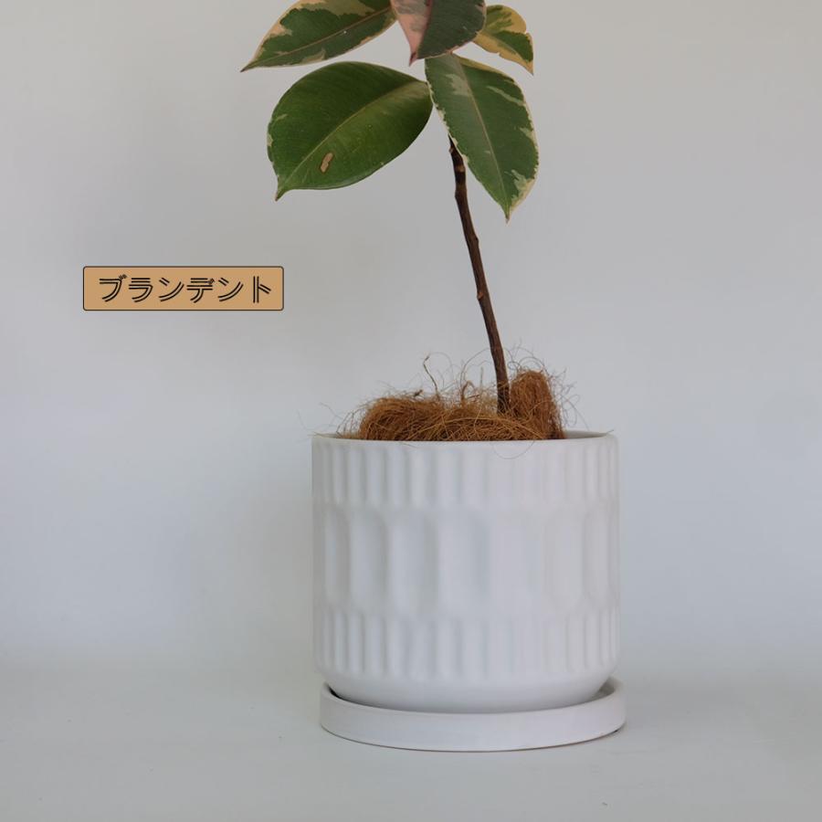 植木鉢 おしゃれ ブランデントL 受皿付 白鉢 陶器鉢 径17cm 高16cm 5号