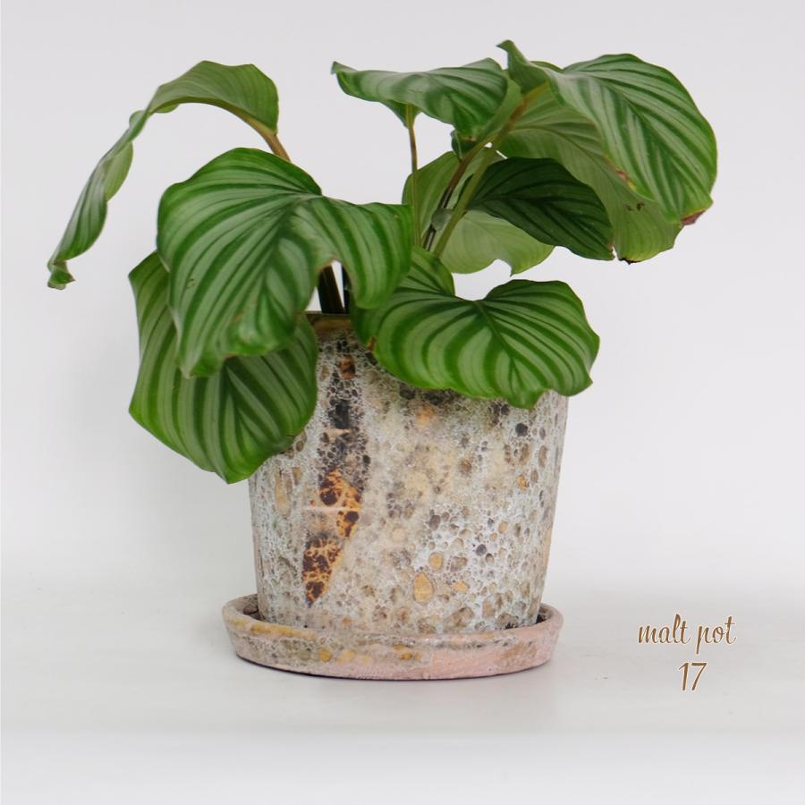 陶器　鉢 植木鉢 おしゃれ モトルポット 17 受皿付 5号鉢 陶器鉢 セラミック鉢