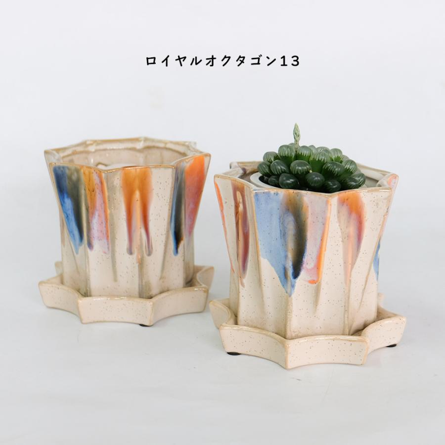 植木鉢 おしゃれ ロイヤルオクタゴン13 受皿付 ミニ鉢 ユニーク
