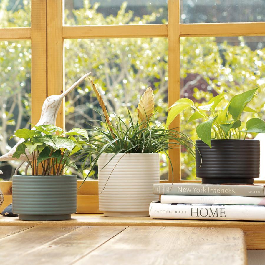 Aalto 15 tall 植木鉢 シンプル 陶器鉢 径15cm 高15cm 底穴あり 深鉢