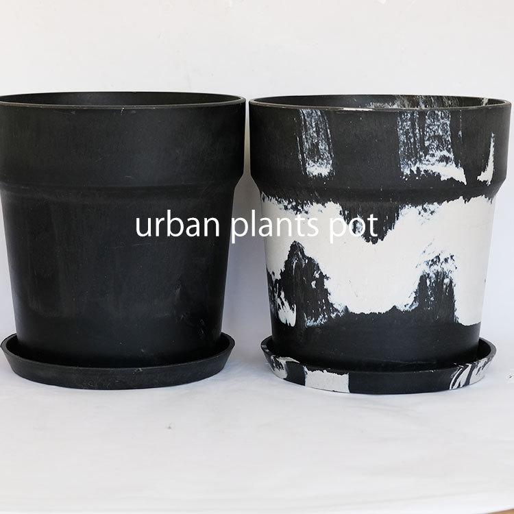 マルスゾウカブト 大型118㎜ マルスゾウカブト♂118（レプリカ標本