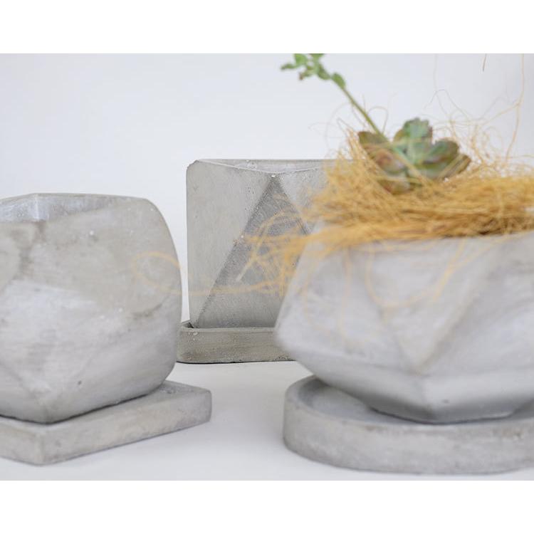 コンクリート鉢の盆栽 tiny セメントポット 植木鉢 おしゃれ