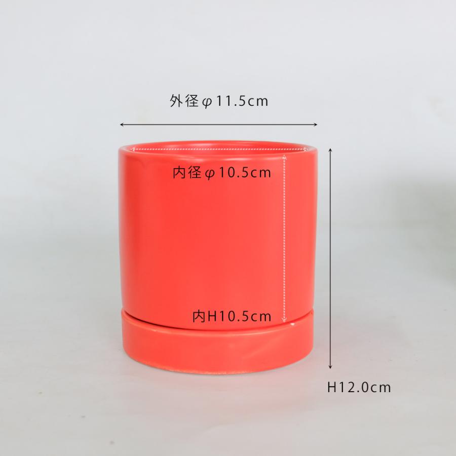オーセ11受皿付 陶器鉢 おしゃれ シリンダー ミニ鉢 3号鉢 径11.5cm