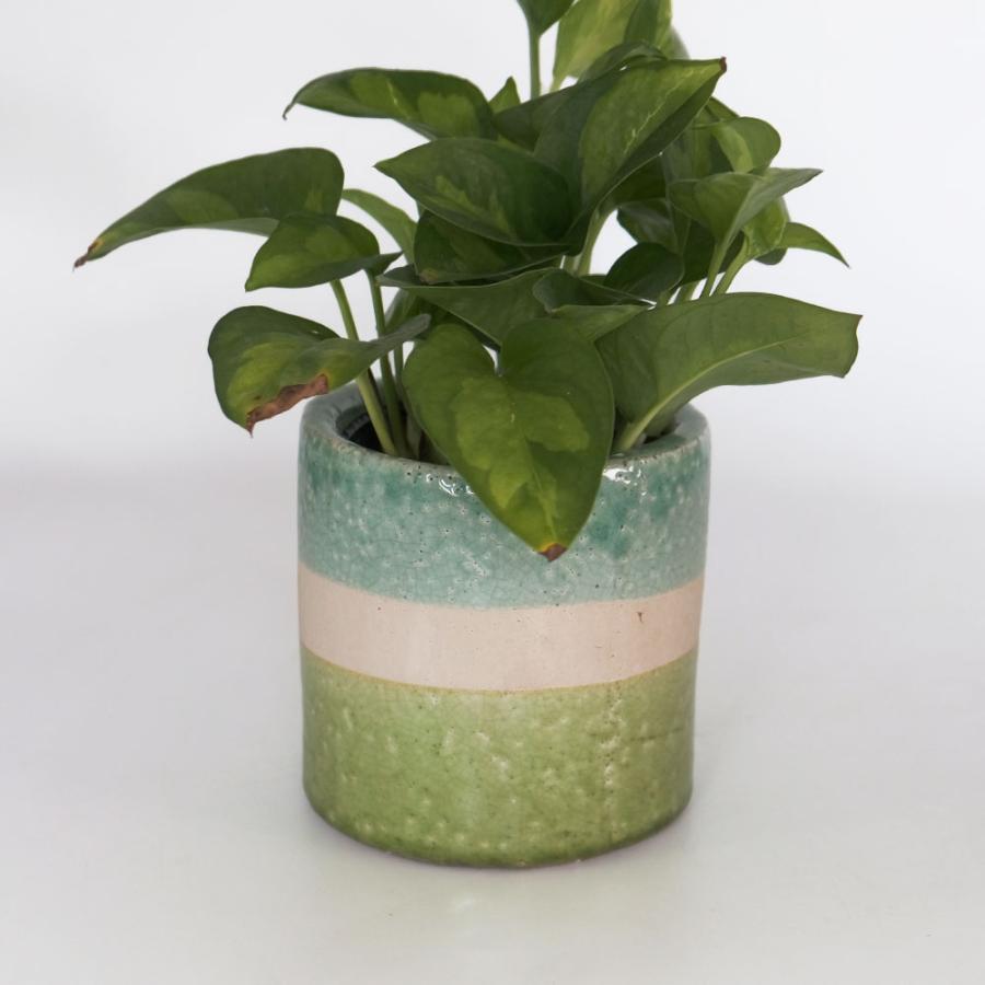 植木鉢 おしゃれ 陶器鉢 コスシリンダー12 底穴なし 鉢カバー