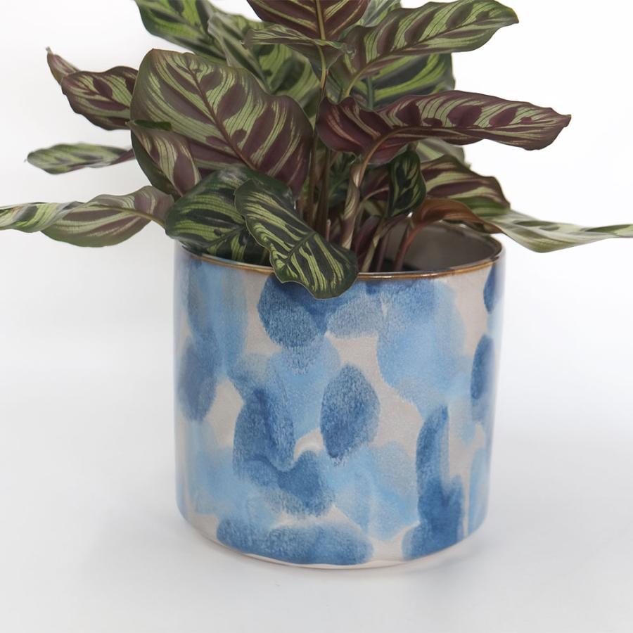 D.I.P. シノギ セラミックPOT 植木鉢 植木鉢 おしゃれ GRIT POT & SAUCER M 陶器鉢 受皿付 アース