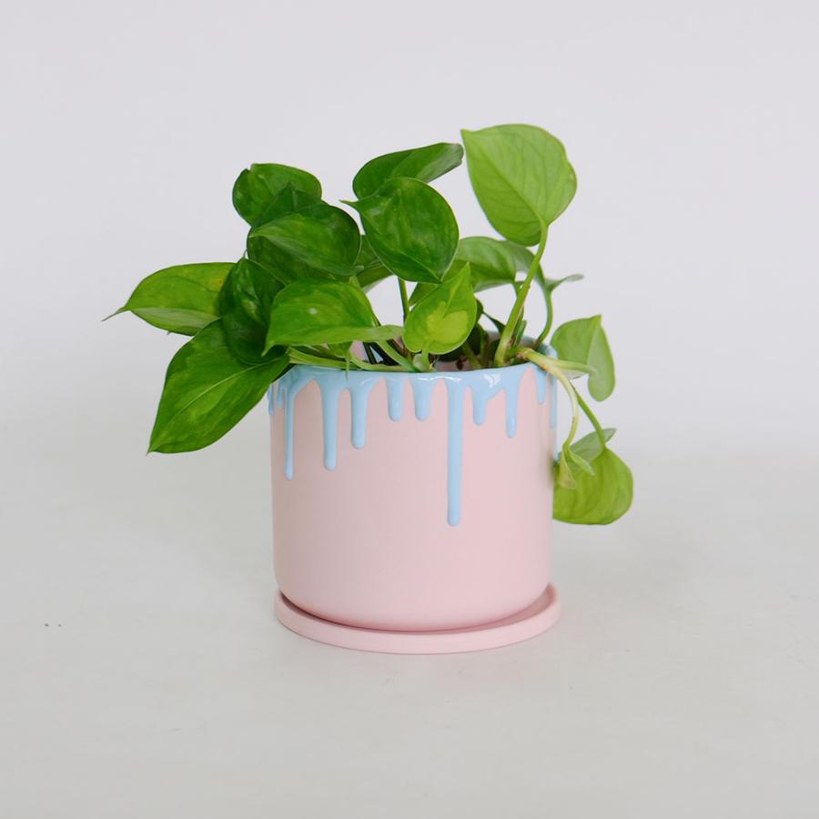 植木鉢 陶器 おしゃれ ドリーナ11 受皿付き 3号 径11cm 高10cm 底穴
