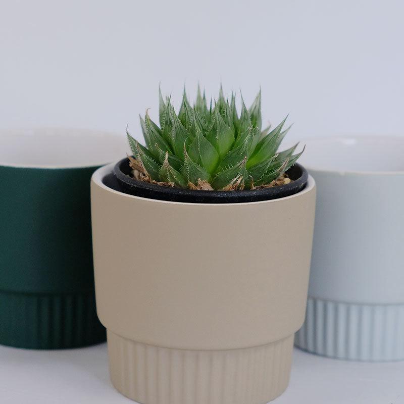 植木鉢 おしゃれ エルマ10 室内 陶器鉢 セラミック 北欧 底穴なし 径