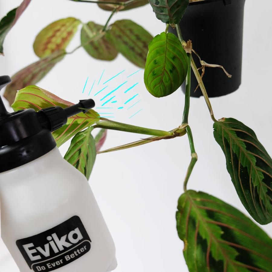 Evika ハンディー蓄圧スプレイヤー1.5L ガーデニング ジョーロ 水差し