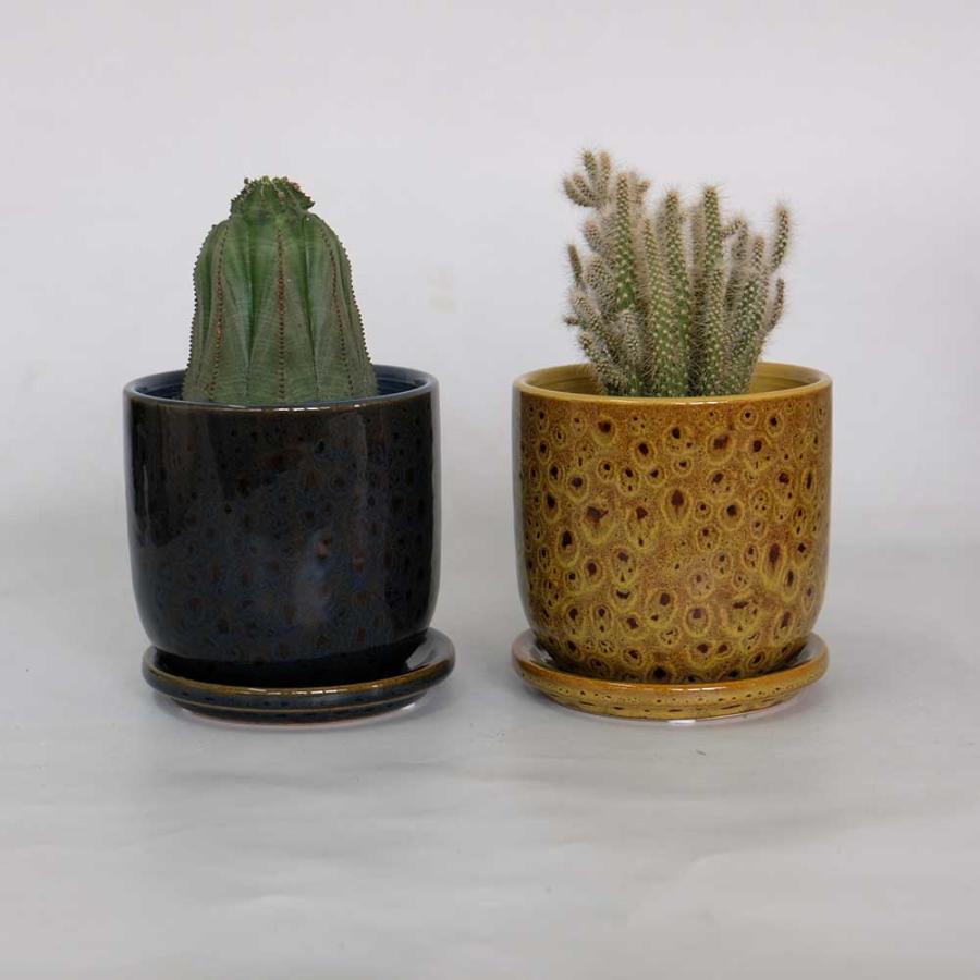 植木鉢 かわいい クヴェタ11 セラミック鉢 おしゃれ 受け皿付 径11.5cm