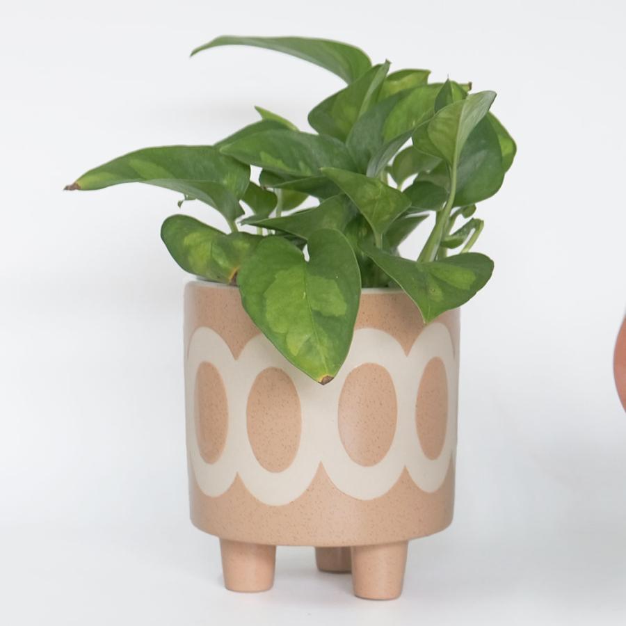 植木鉢 おしゃれ 陶器鉢 ラダ12 3つ脚 : ガーデニング日和 - 通販
