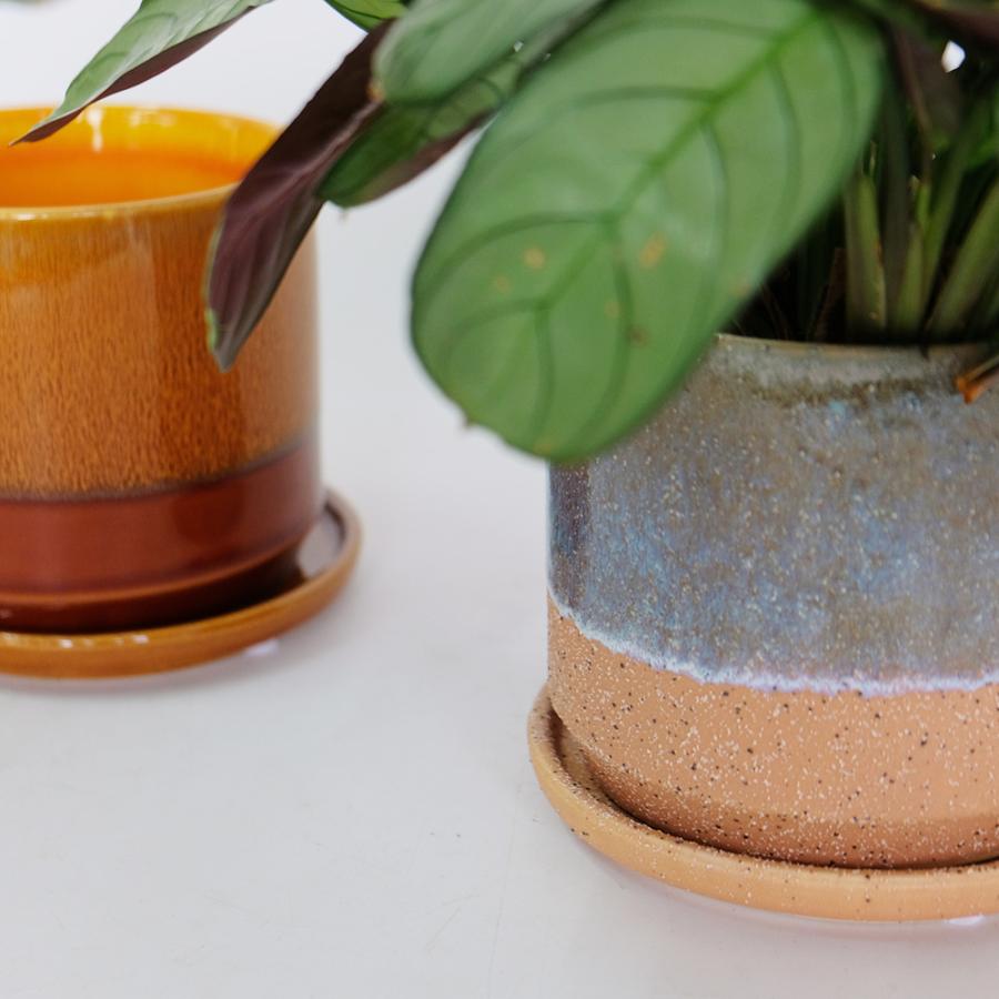 SRL 植木鉢 陶器 植木鉢 おしゃれ 陶器鉢 メルヤ11 受皿付 セラミック 北欧 径11cm 高