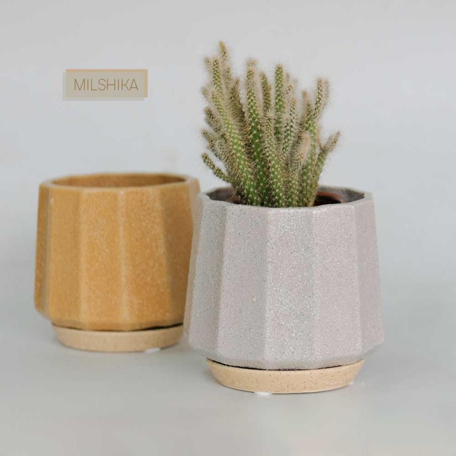 植木鉢 おしゃれ 陶器鉢 ミルシカ11 受皿付 セラミック 北欧 径12.5cm