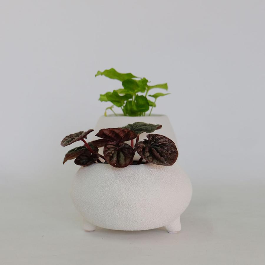 植木鉢 おしゃれ シスコ12 鉢カバー 底穴なし 変わり鉢 : ガーデニング