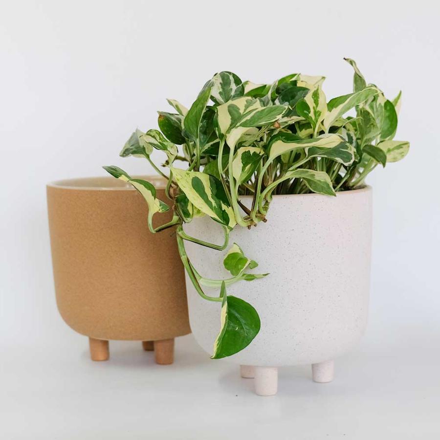 植木鉢 おしゃれ 陶器鉢 サネルマ19 底穴なし 径18cm 高さ19cm