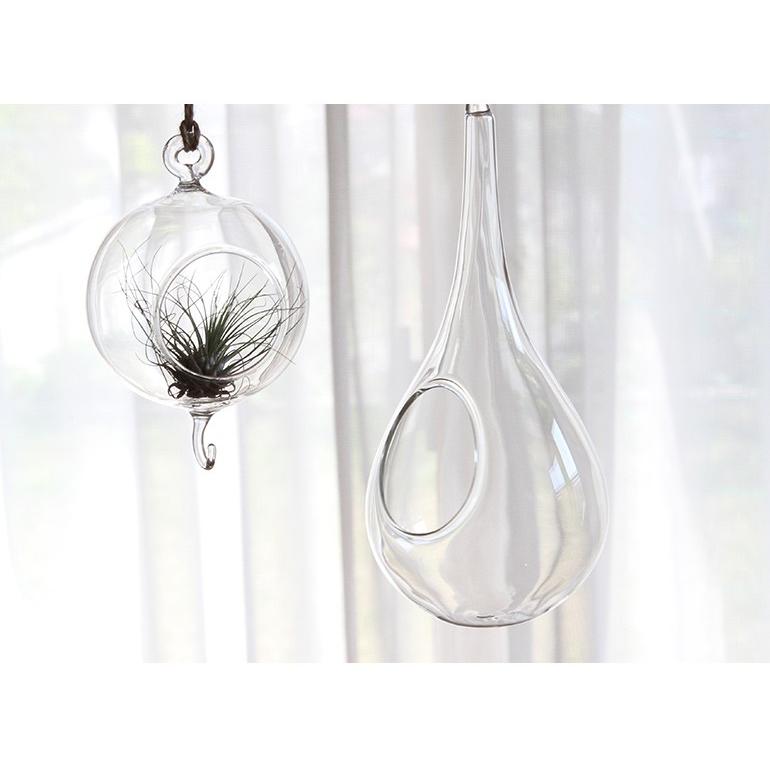 HANKING BASE DROP テラリウム ガラス 吊り下げ ハンキング おしゃれ