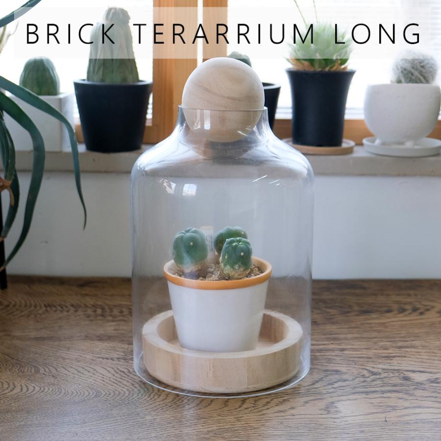 BRICK terarrium LONG テラリウム サボテン 多肉植物 : ガーデニング日