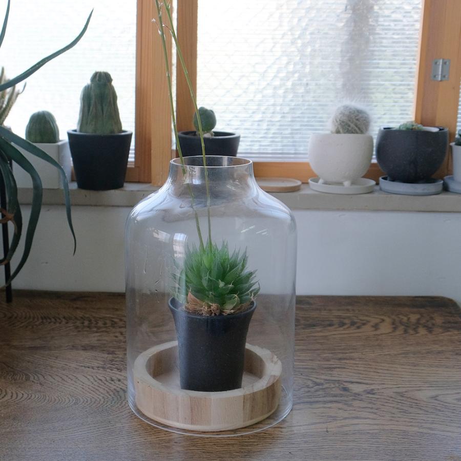 BRICK terarrium LONG テラリウム サボテン 多肉植物 : ガーデニング日