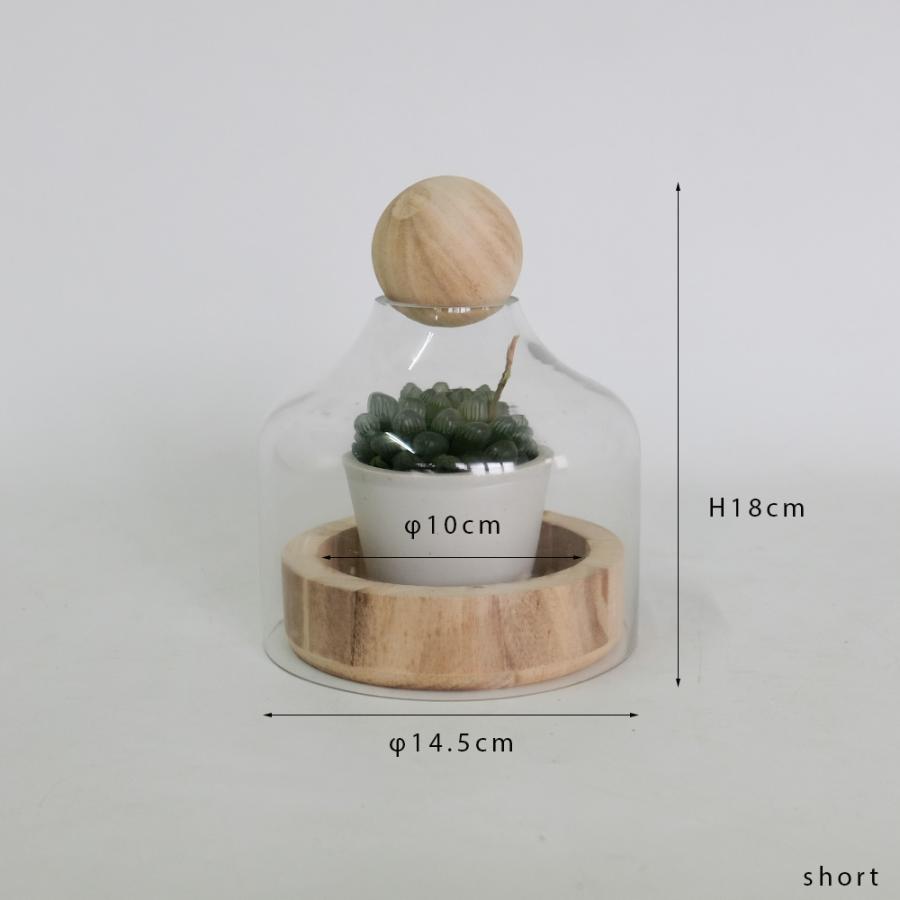 BRICK terarrium short テラリウム 多肉植物 ガラス温室