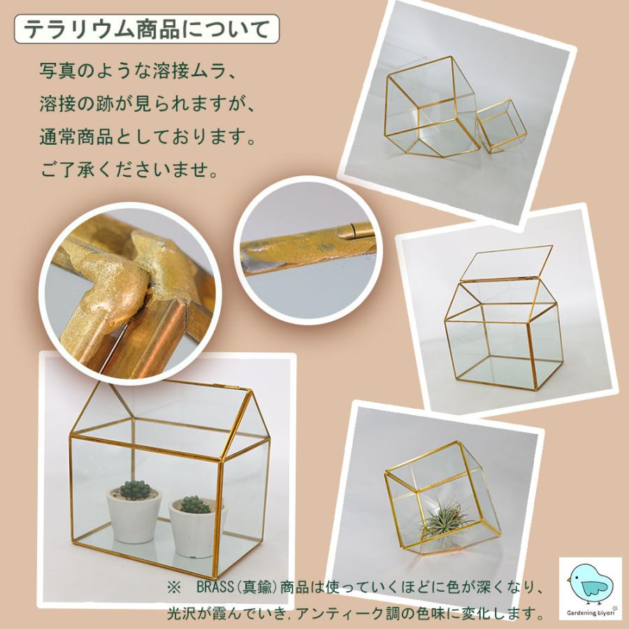 テラリウム キューブ15 : ガーデニング日和 - 通販 - Yahoo!ショッピング