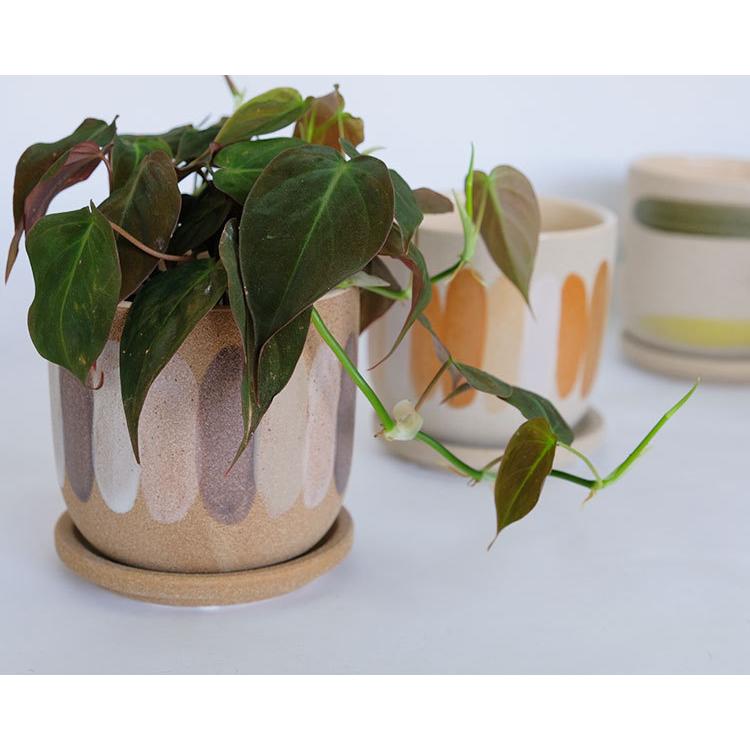 おしゃれ 陶器鉢 デシレ15 植木鉢 セラミック 鉢 径15cm 高14.5cm 底穴