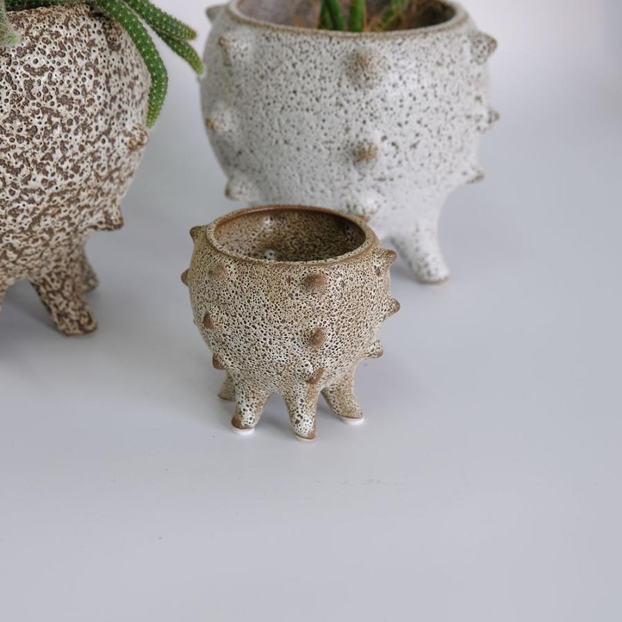 植木鉢 おしゃれ 室内 テオドラ11 鉢カバー かわいい 陶器鉢 底穴なし