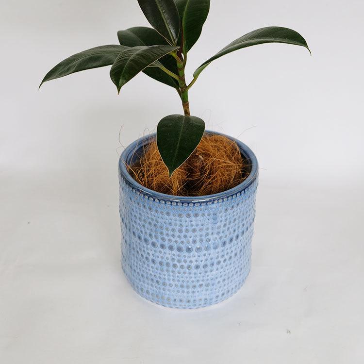 植木鉢 おしゃれ ヴィリア16 鉢カバー セラミックポット 陶器 径16.5cm