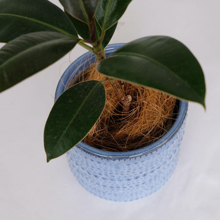 植木鉢 おしゃれ ヴィリア16 鉢カバー セラミックポット 陶器 径16.5cm