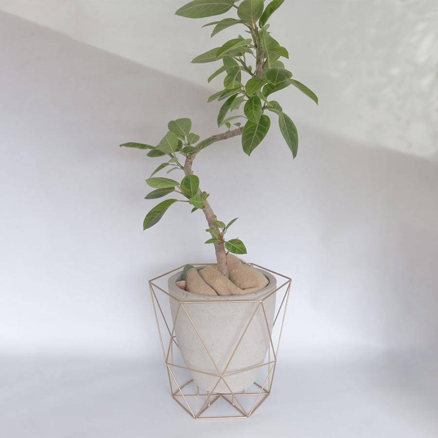 ガンプスギフト　GUMPS ポットスタンド　ローレル　ゴールド ガンプスギフト GUMPS ポットスタンド ローレル ゴールド ガンプス