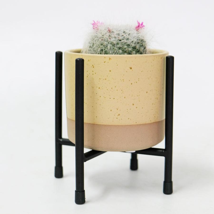 植木鉢 かわいい ハンネ11 クロススタンドセット 鉢カバー 底穴なし