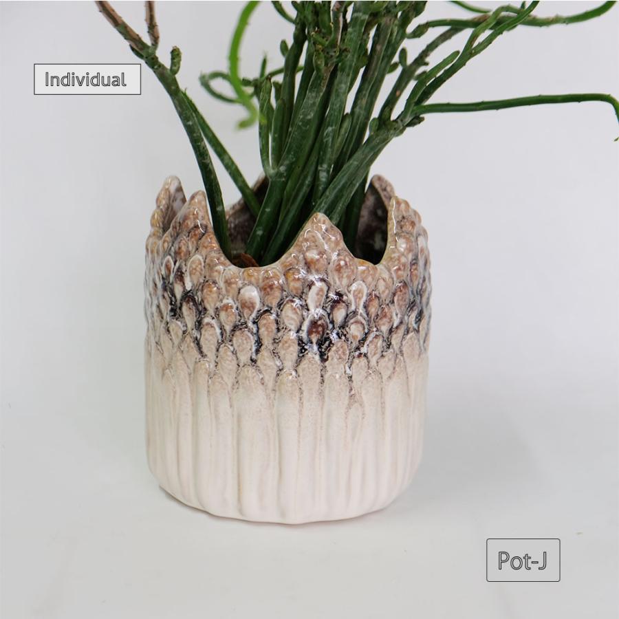 植木鉢 ユニーク individual pot FK 陶器鉢 底穴あり セラミックポット