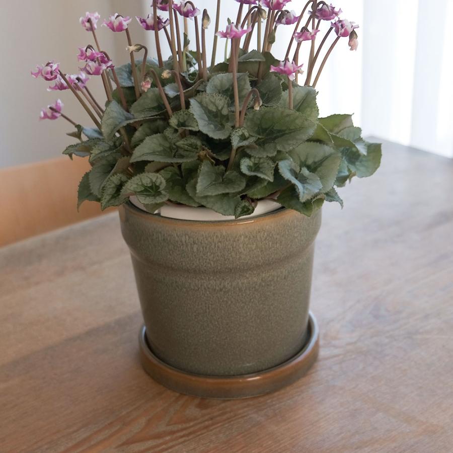 植木鉢 おしゃれ Kaunis16 陶器鉢 受皿付き 底穴あり 径16cm 高14cm