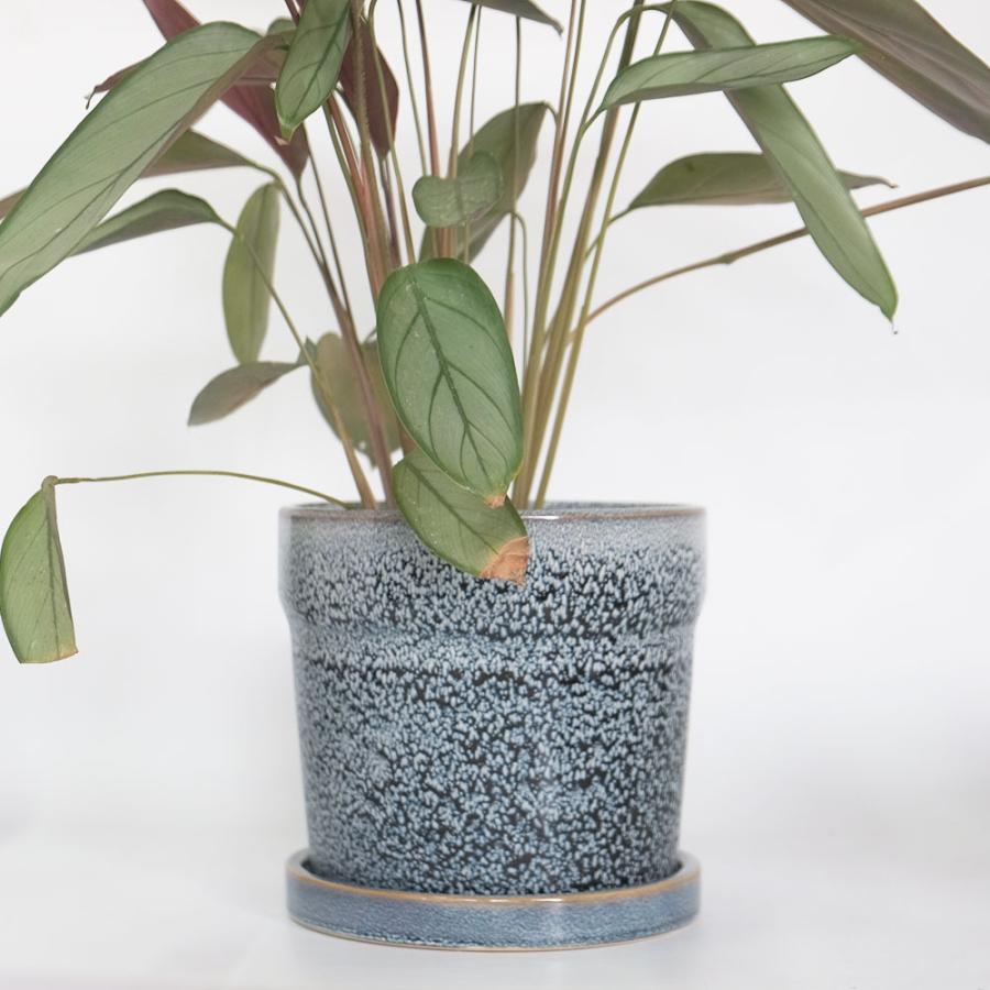 植木鉢 おしゃれ Kaunis16 陶器鉢 受皿付き 底穴あり 径16cm 高14cm