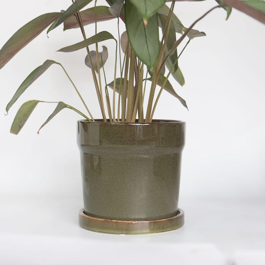 植木鉢 おしゃれ Kaunis16 陶器鉢 受皿付き 底穴あり 径16cm 高14cm