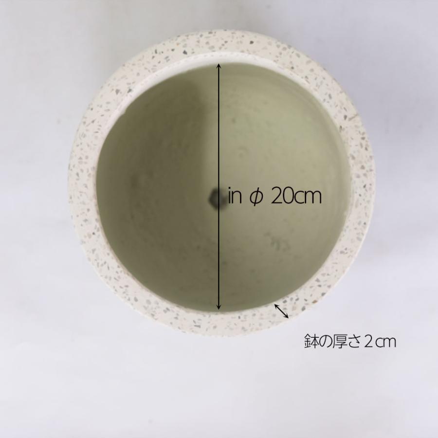 CAUTES CYLIND22 植木鉢 おしゃれ プランター KONTON : ガーデニング日