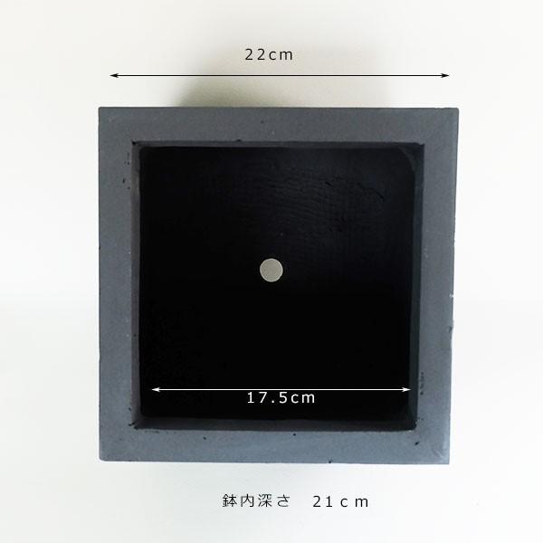 植木鉢 おしゃれ ベータ キューブプランター23 プランター ファイバー