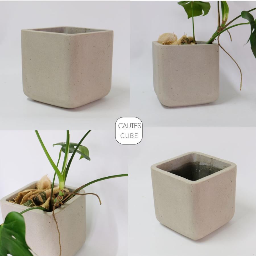 コーテスキューブ 26 植木鉢 おしゃれ プランター幅26cm奥26cm 高さ