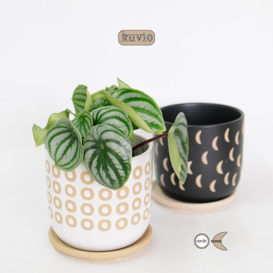 植木鉢 おしゃれ Kuvio 陶器鉢 かわいい 受皿付 トロンコ tronco S径