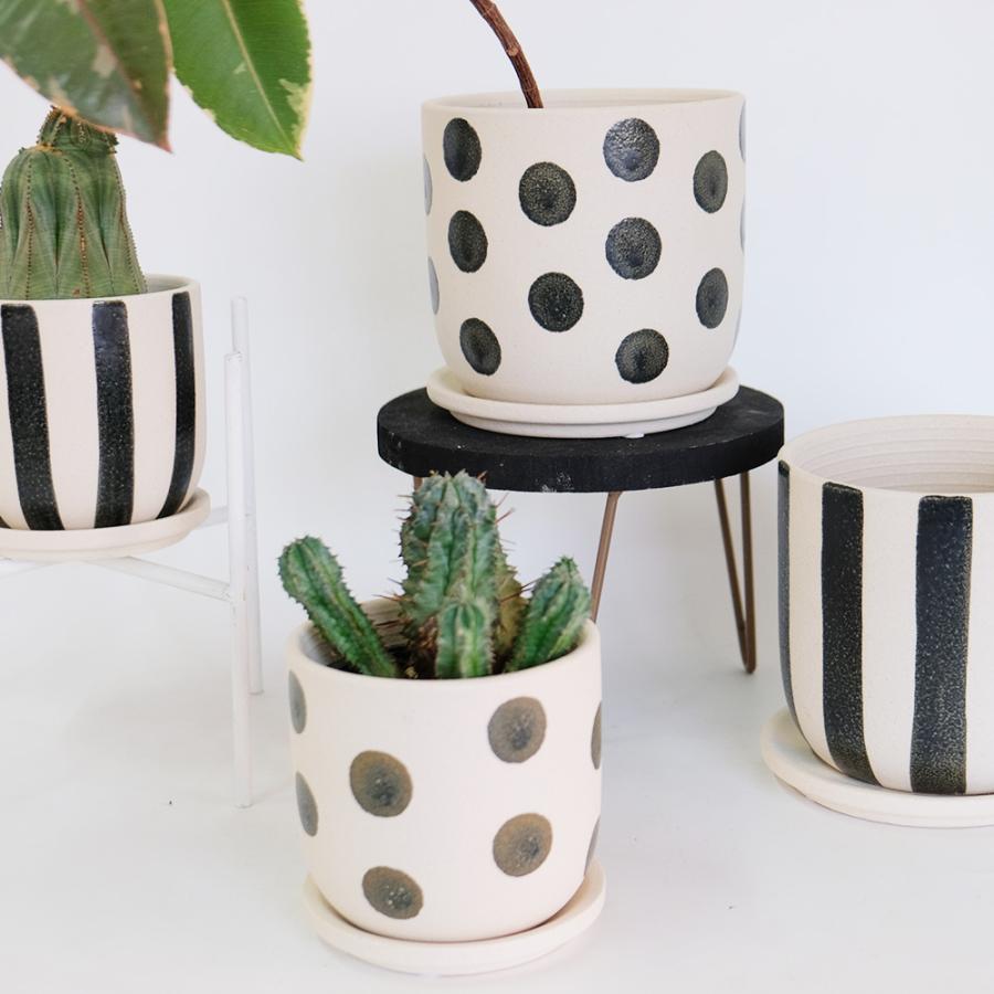 植木鉢 おしゃれ Kuvio Stripe/Dots 陶器鉢 かわいい 受皿付 トロンコ