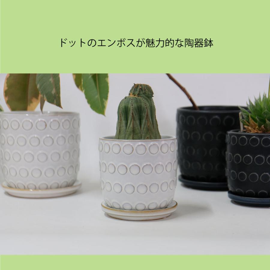 植木鉢 おしゃれ Kuvio Emboss 陶器鉢 かわいい 受皿付 トロンコ
