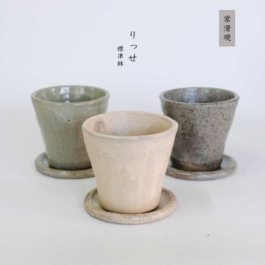 常滑焼　白釉小鉢　12個　7cm　今物 K28-12756.