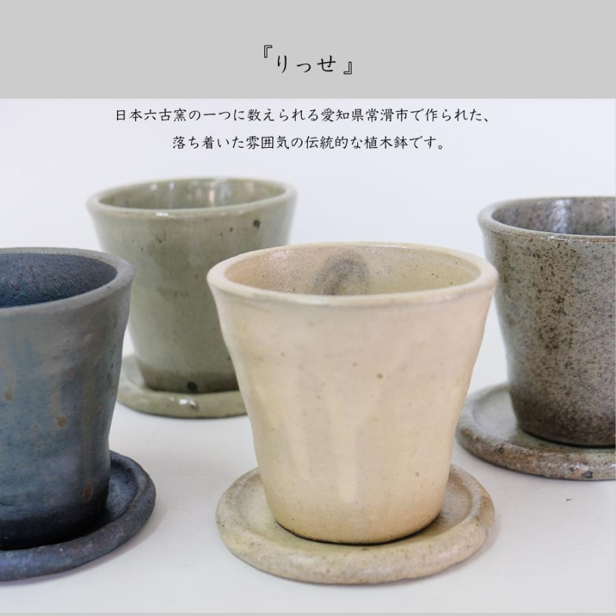希少な昭和の名品 常滑焼 兼又陶園 海鼠釉 盆栽鉢 尺1寸 4客セット ミニ盆栽鉢 6点セット / 海鼠釉 / 緑釉 / 草物 / 多肉 - メルカリ