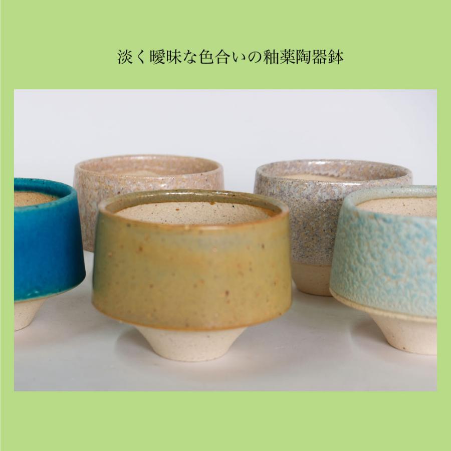植木鉢 かわいい 松帆 まつほ 10 受皿付 カラフル 陶器鉢