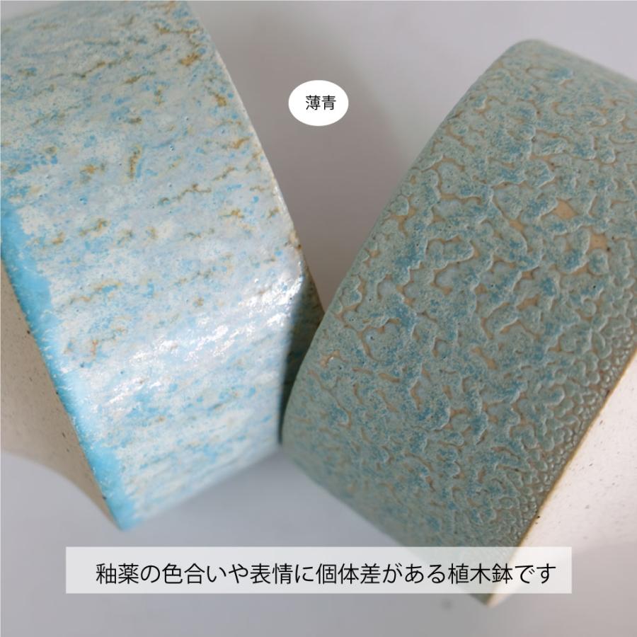 松の木 青い鉢付き 黒松 瑠璃紺和鉢 天然石の敷物付きを販売｜盆栽妙 – 盆栽妙 本店