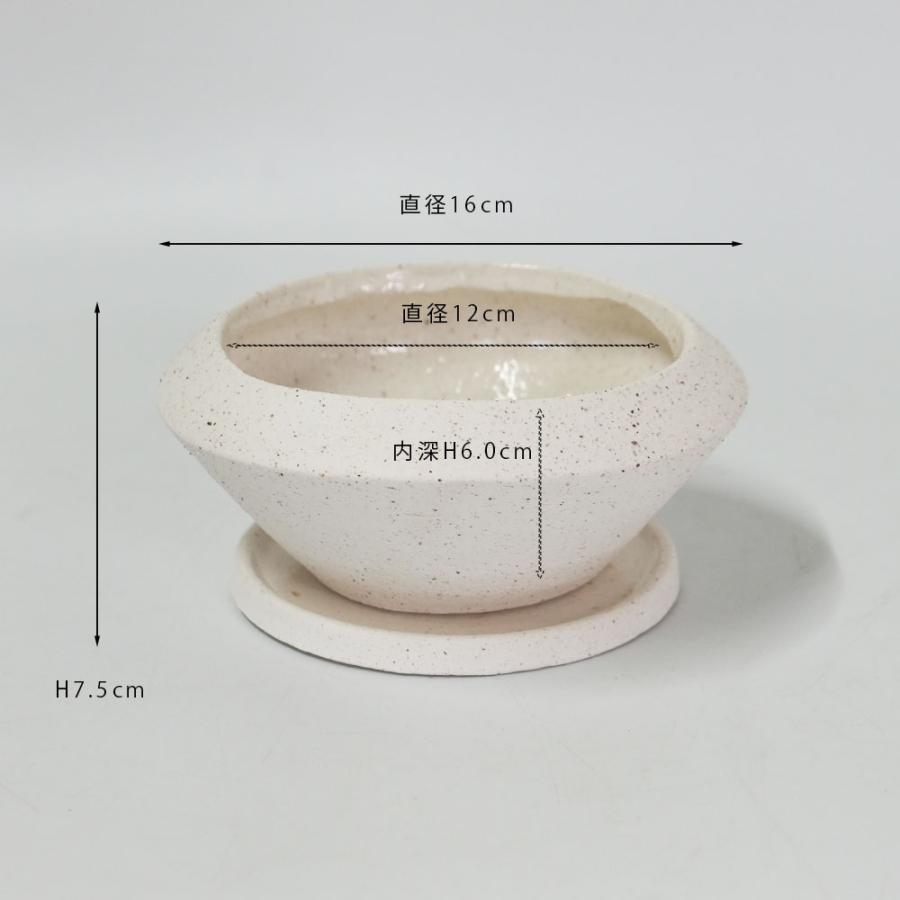 植木鉢 おしゃれ 陶器 イオニアサークルS 受皿付 セラミック鉢 径16cm