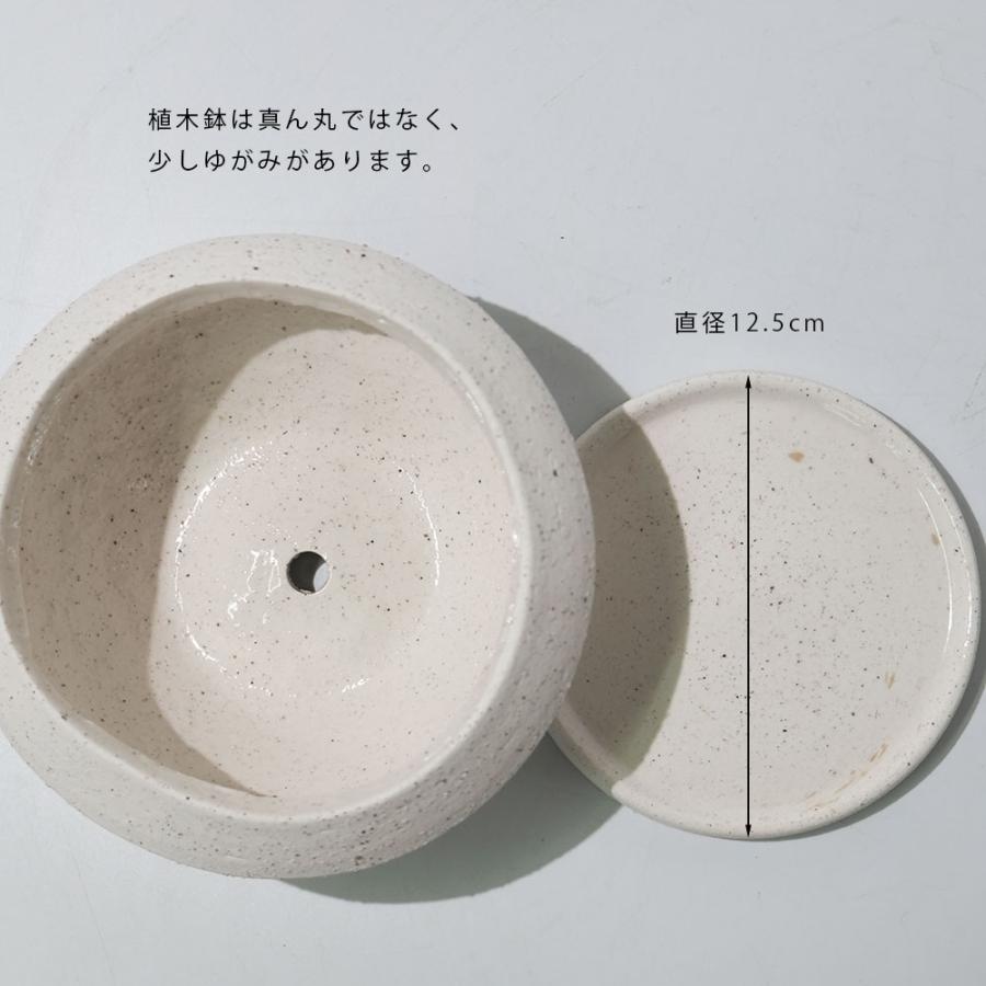 陶器 円形鉢 足付き 中央穴あり　豊林　落款 植木鉢 おしゃれ 陶器 イオニアサークルS 受皿付 セラミック鉢 径16cm