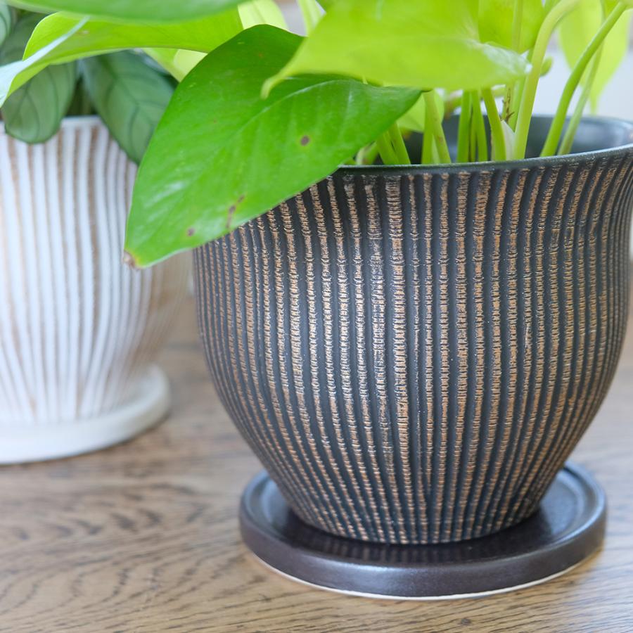 植木鉢 マルグリット15 受皿付 ポット セラミック 釉薬 径16cm 高12cm