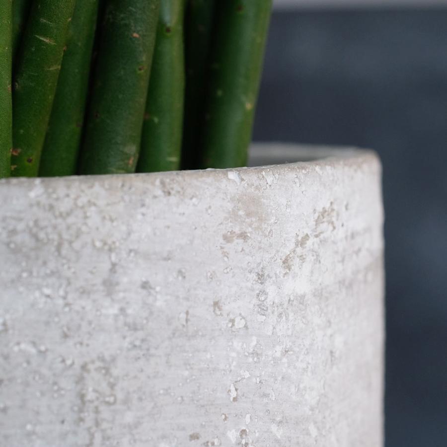 新素材新作 ロンダ15 鉢カバー 植木鉢 おしゃれ セメント Aynaelda Com