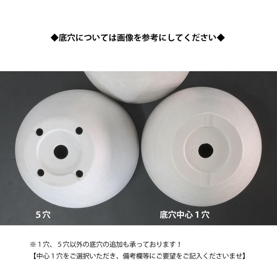 Progress Bowl Pot M 植木鉢　コーデックス Progress Bowl Pot S | 多肉植物・特別な鉢の販売 | トーキー | TOKY