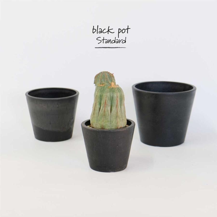 黒プラ鉢 ブラックポット 14 サボテン 頑丈 おしゃれ植木鉢 塊根植物