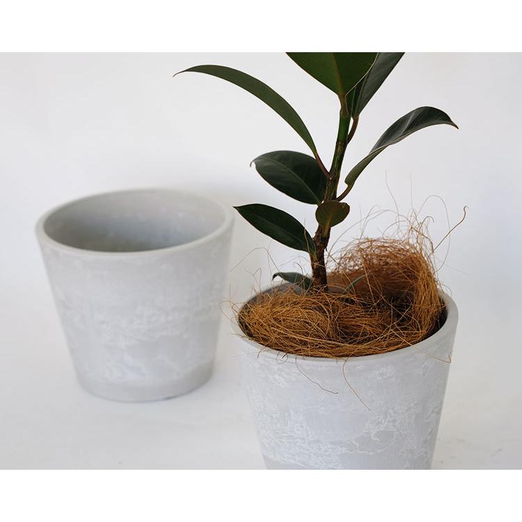 プラ鉢 ホワイトポット 14 サボテン 頑丈 おしゃれ 塊根植物 多肉 プラスチック鉢 コーデックス O Bkpot14w ガーデニング日和 通販 Yahoo ショッピング